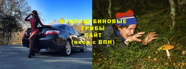 мяу мяу кристалл Магас