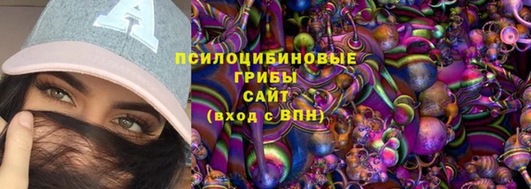ешки Абаза