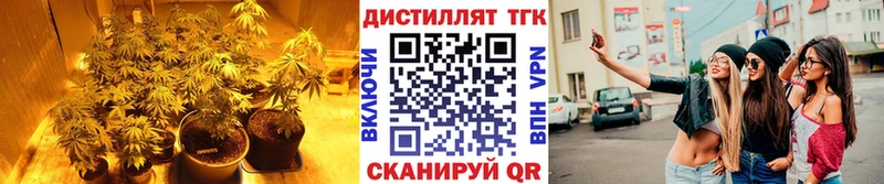 сколько стоит  мориарти Telegram  Дистиллят ТГК гашишное масло  Оренбург 