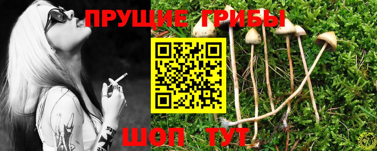 Галлюциногенные грибы мицелий Оренбург